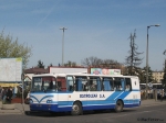 Nazwa pliku=80581.jpg
Rozmiar pliku=117KB
Rozmiar=800x601
Data dodania=kwiecień 27, 2009 80581.jpg