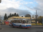 B20003.jpg