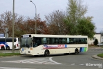 O407.jpg