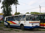 40011-2.JPG