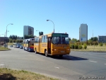 563-571.JPG