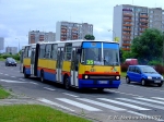 621-35.JPG