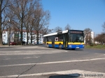 655-29.JPG