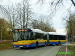 735-74.jpg