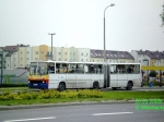 ikarus.jpg