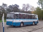 pzy8247-3.jpg