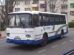 rbra739-1.jpg