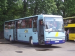 scinc96.jpg