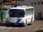 20520_JelczT120.jpg