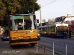 563-710.jpg