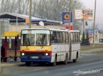 619-3.jpg