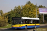 695-7.jpg