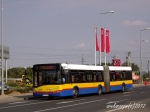 707-3.jpg