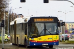 736-3.jpg