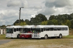 Thomas-Built-Buses-Saf-T-Liner-MVP-EF---WPU-10631a.jpg