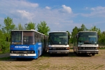 1602_k1_ikarus280_pksgar_60698_sdg9774_s.JPG