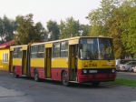 2966-401.jpg