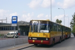 5202-ul_Lubelska_14_07.JPG