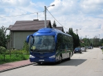 Dawibus_003.JPG